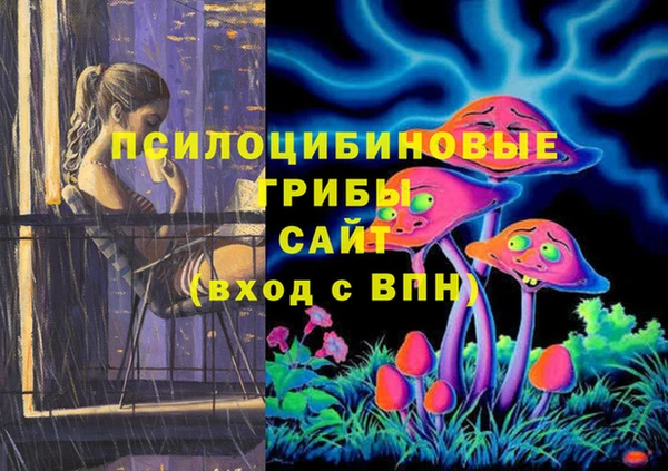 таблы Армянск