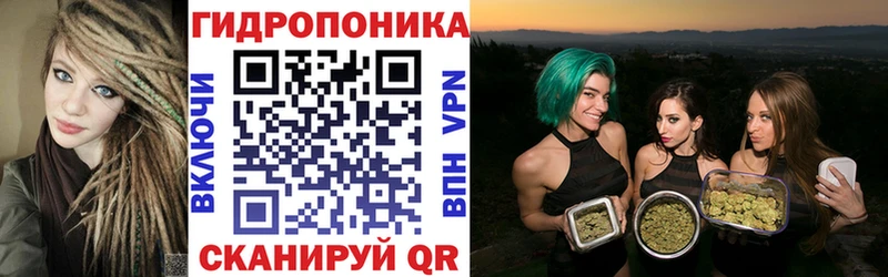 цена наркотик  Калуга  Конопля SATIVA & INDICA 
